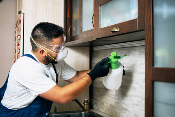 Best Pest Removal Services  in Gorman, TX