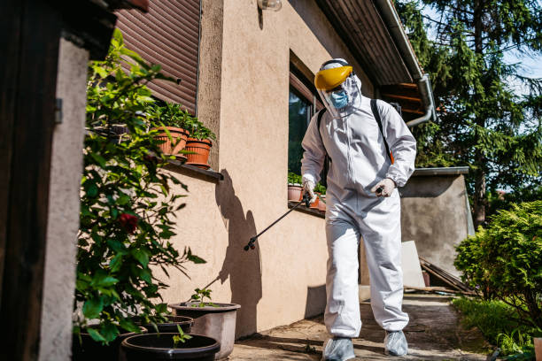 Wildlife Control Services in Gorman, TX